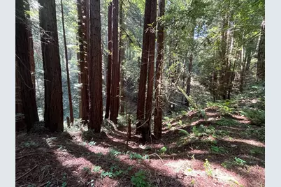 1355 Nicasio Valley Road, Nicasio, CA 94946 - Photo 6