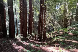 1355 Nicasio Valley Rd, Nicasio, CA 94946 - Photo 6