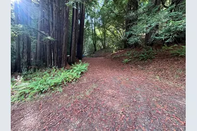 1355 Nicasio Valley Road, Nicasio, CA 94946 - Photo 10