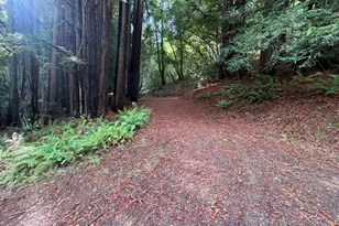 1355 Nicasio Valley Rd, Nicasio, CA 94946 - Photo 10