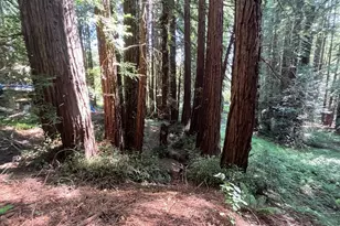 1355 Nicasio Valley Rd, Nicasio, CA 94946 - Photo 8