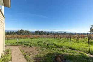 1365 Grandview Rd, Sebastopol, CA 95472 - Photo 44