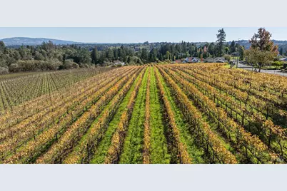 1365 Grandview Road, Sebastopol, CA 95472 - Photo 56