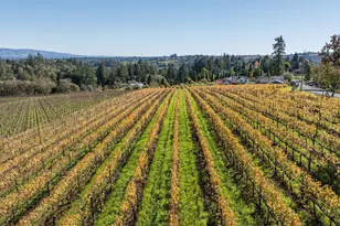 1365 Grandview Rd, Sebastopol, CA 95472 - Photo 56