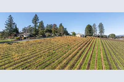 1365 Grandview Road, Sebastopol, CA 95472 - Photo 58