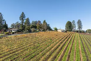 1365 Grandview Rd, Sebastopol, CA 95472 - Photo 58