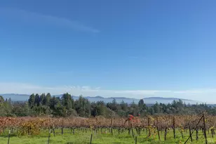 1365 Grandview Rd, Sebastopol, CA 95472 - Photo 64