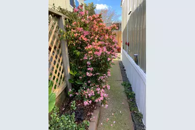 6781 Evergreen Avenue, Sebastopol, CA 95472 - Photo 28