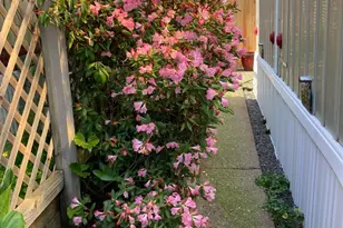 6781 Evergreen Ave, Sebastopol, CA 95472 - Photo 28