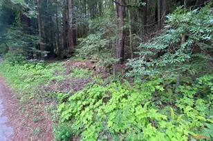 925 Cazadero Hwy, Cazadero, CA 95421 - Photo 1