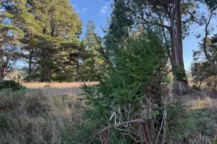 13500 Point Cabrillo Dr, Mendocino, CA 95460 - Photo 24