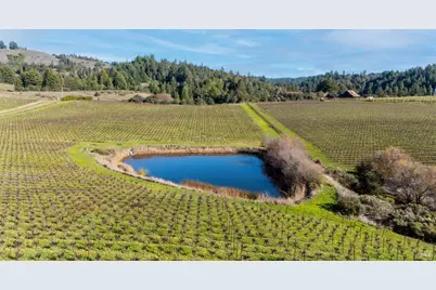 2300 Guntley Road, Philo, CA 95466 - Photo 8