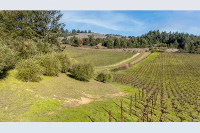 2300 Guntley Road, Philo, CA 95466 - Photo 14