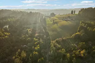 189 Wagnon Rd, Sebastopol, CA 95472 - Photo 44