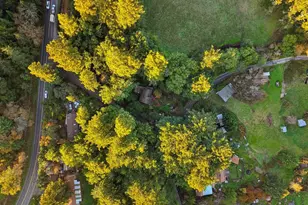 189 Wagnon Rd, Sebastopol, CA 95472 - Photo 46