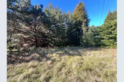 237 Badger, The Sea Ranch, CA 95497 - Photo 6