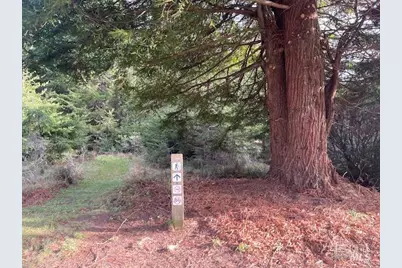 237 Badger, The Sea Ranch, CA 95497 - Photo 6