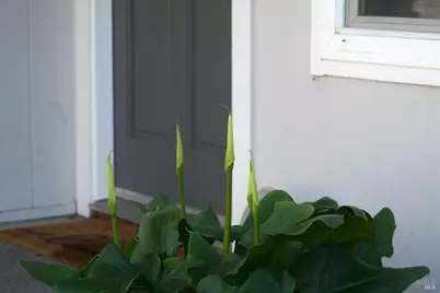 5050 Parkhurst Drive, Santa Rosa, CA 95409 - Photo 30