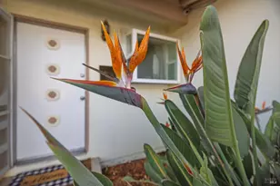 2825 Seneca Ln, Santa Rosa, CA 95403 - Photo 6