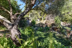 36 Shannon Ct, Novato, CA 94949 - Photo 28