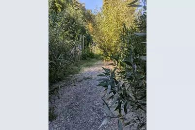 [Address not provided], Forestville, CA 95436 - Photo 8