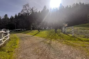 78951 Zenia Rd, Covelo, CA 95428 - Photo 14