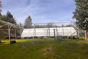 78951 Zenia Rd, Covelo, CA 95428 - Photo 16