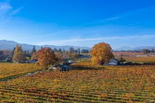 1135 Galleron Rd, Saint Helena, CA 94574 - Photo 16