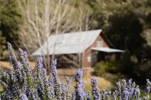 17350 Deer Meadows Rd, Boonville, CA 95415 - Photo 62