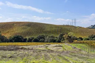 1301 Duhig Rd, Napa, CA 94559 - Photo 48