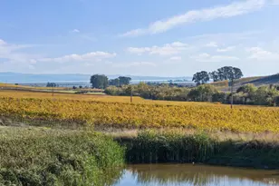 1301 Duhig Rd, Napa, CA 94559 - Photo 52