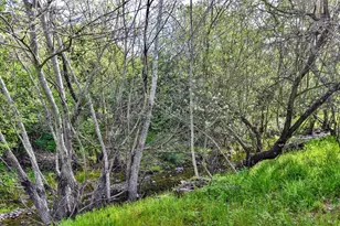 45 International Blvd, Sonoma, CA 95476 - Photo 10