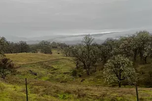 23040 Poonkinney Rd, Covelo, CA 95428 - Photo 64