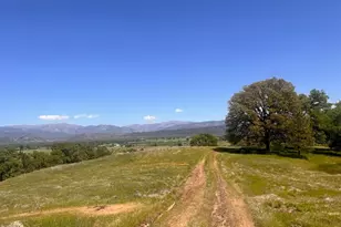 23040 Poonkinney Rd, Covelo, CA 95428 - Photo 12