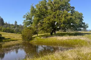 23040 Poonkinney Rd, Covelo, CA 95428 - Photo 4