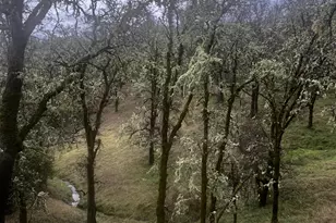 23040 Poonkinney Rd, Covelo, CA 95428 - Photo 44