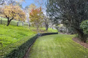 42 Grove St, San Rafael, CA 94901 - Photo 38