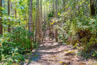 0 16125 Honey Ridge Road, Boonville, CA 95415 - Photo 10