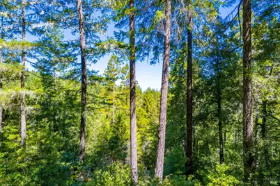 0 16125 Honey Ridge Road, Boonville, CA 95415 - Photo 2