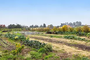 1100 Lohrman Ln, Petaluma, CA 94952 - Photo 62