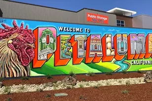 6 N Napa Dr, Petaluma, CA 94954 - Photo 64