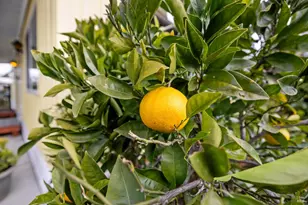 58 Circulo Puerto Ct, Rohnert Park, CA 94928 - Photo 24