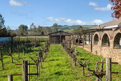 19346 Orange Avenue, Sonoma, CA 95476 - Photo 10