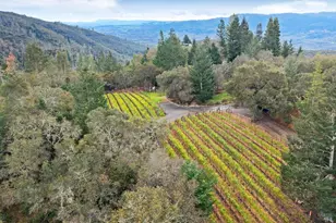 2557 Trinity Rd, Glen Ellen, CA 95442 - Photo 2