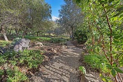 2557 Trinity Road, Glen Ellen, CA 95442 - Photo 36
