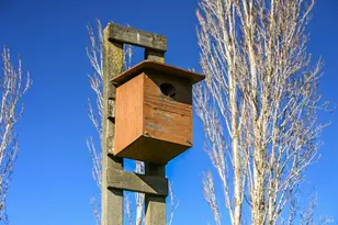 3957 Lakeville Hwy, Petaluma, CA 94954 - Photo 42