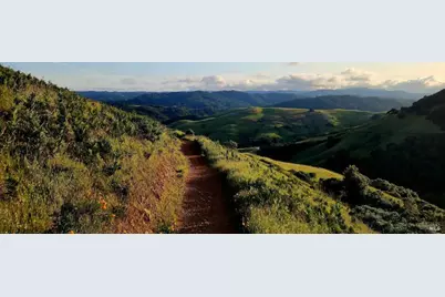 212 Sylvia Way, San Rafael, CA 94903 - Photo 50