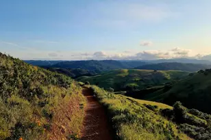 212 Sylvia Way, San Rafael, CA 94903 - Photo 50