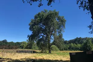0 Shady Ln, Covelo, CA 95428 - Photo 1