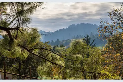 808 Grandview Road, Sebastopol, CA 95472 - Photo 4